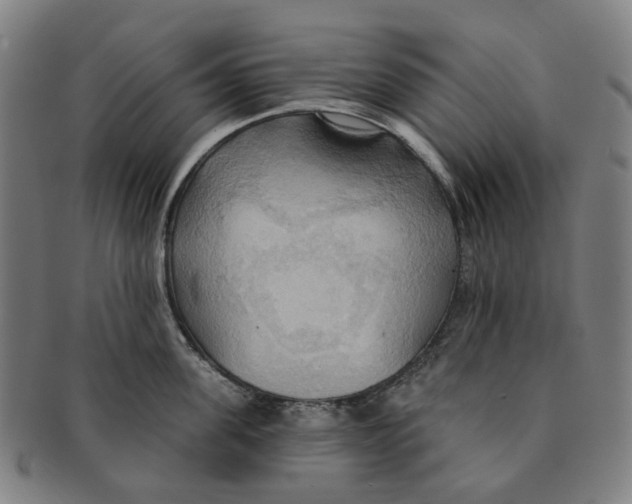 X0000090980955200708301246