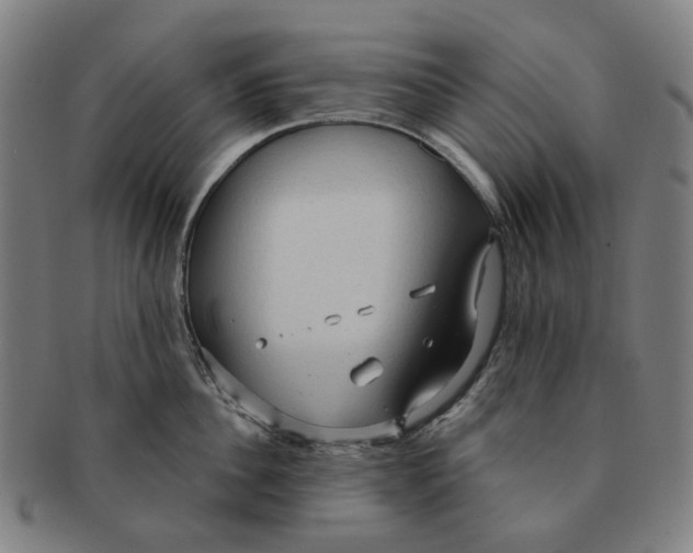 X0000090980956200708301246