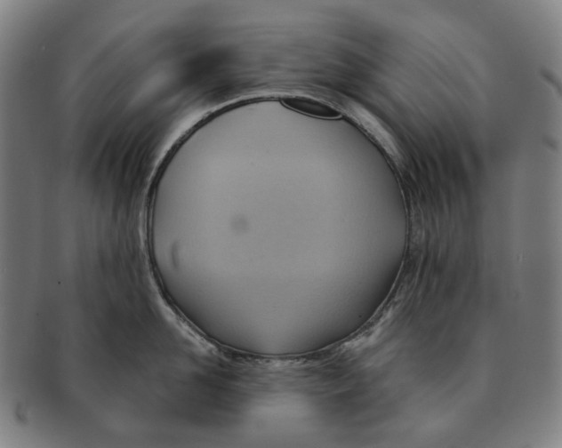 X0000090980958200708301246