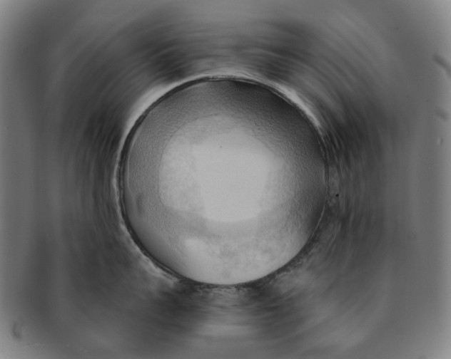 X0000090980959200708301246