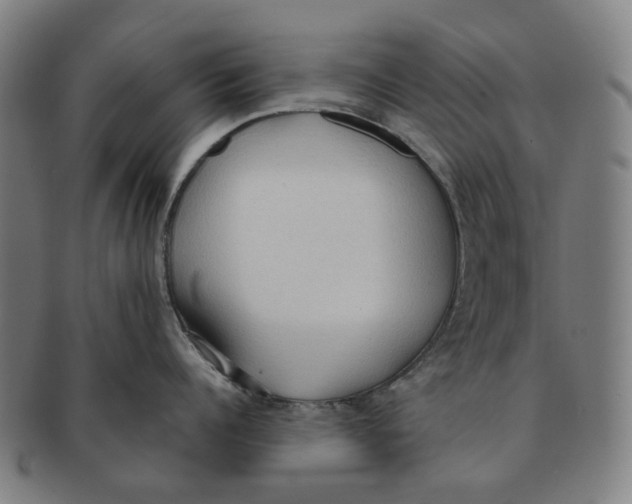X0000090980960200708301246