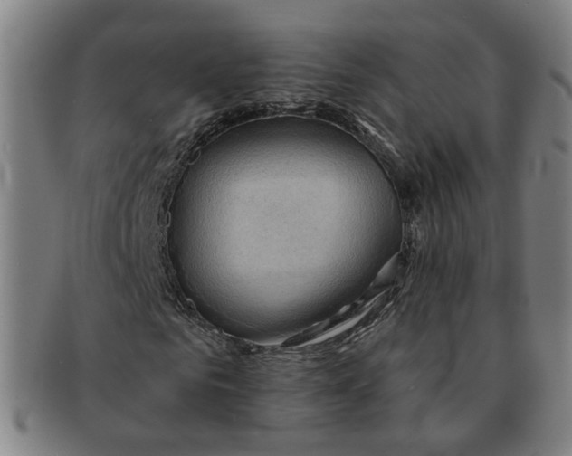 X0000090980961200708301245