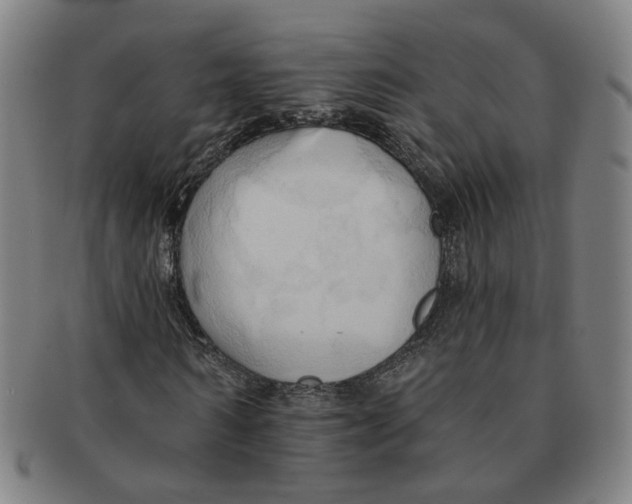 X0000090980962200708301245