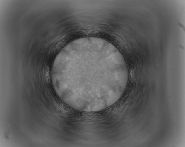 X0000090980963200708301245