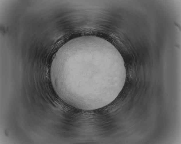 X0000090980964200708301245