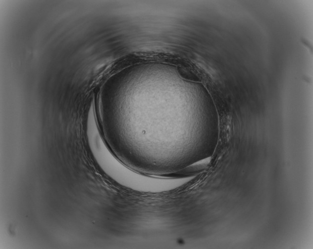 X0000090980965200708301245