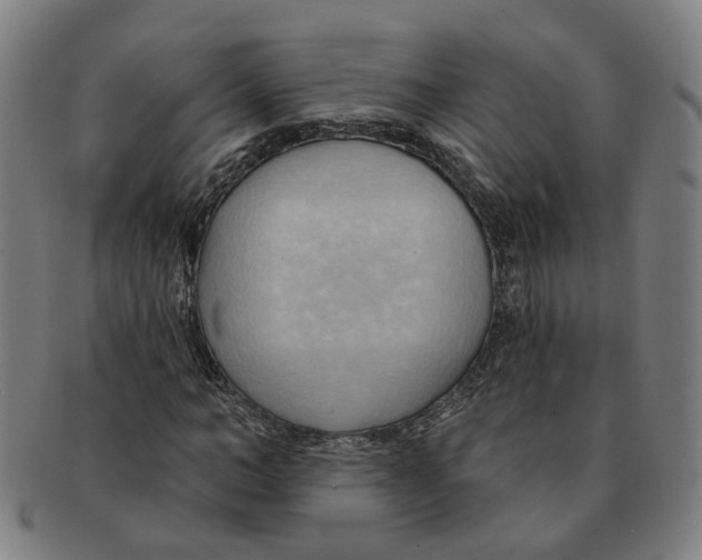 X0000090980966200708301245