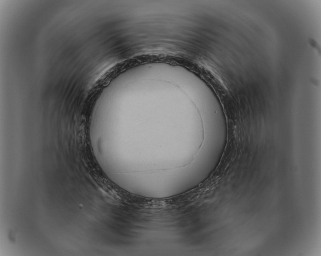 X0000090980968200708301245