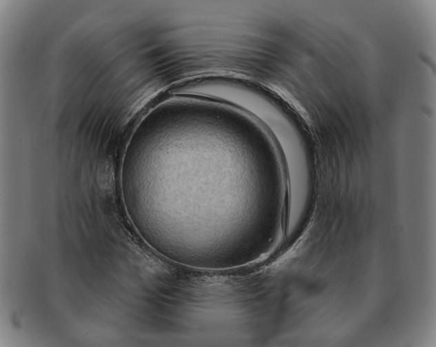 X0000090980969200708301245
