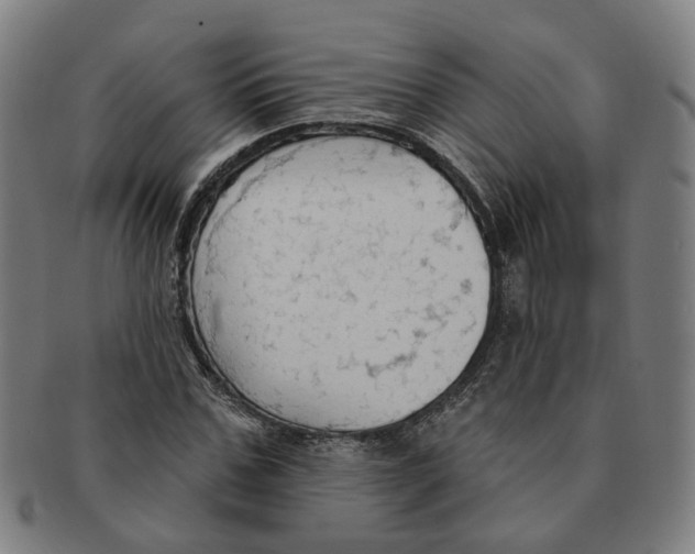 X0000090980971200708301245
