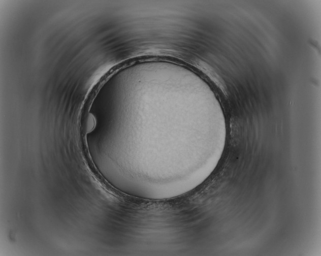 X0000090980972200708301245