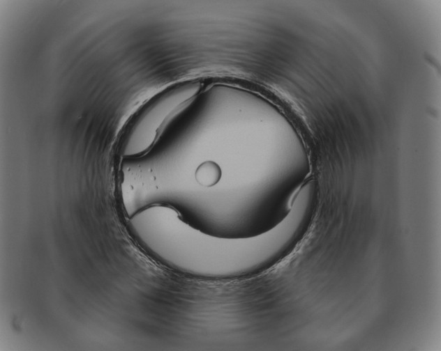X0000090980973200708301245