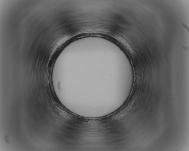 X0000090980974200708301245