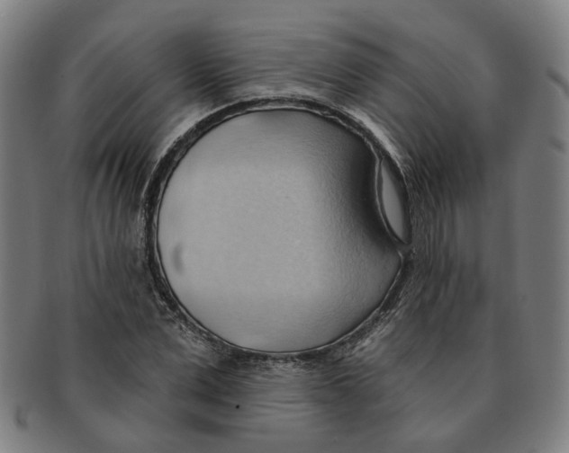 X0000090980975200708301245