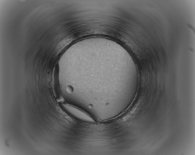 X0000090980977200708301245