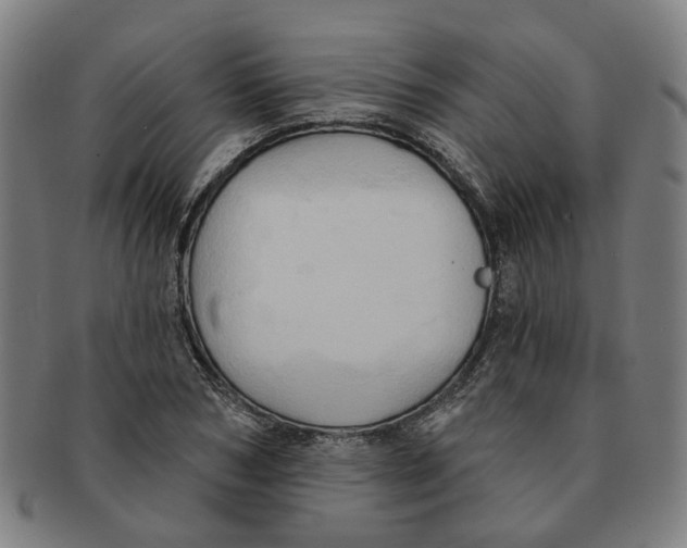 X0000090980978200708301245