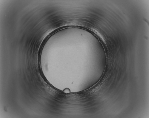 X0000090980980200708301245