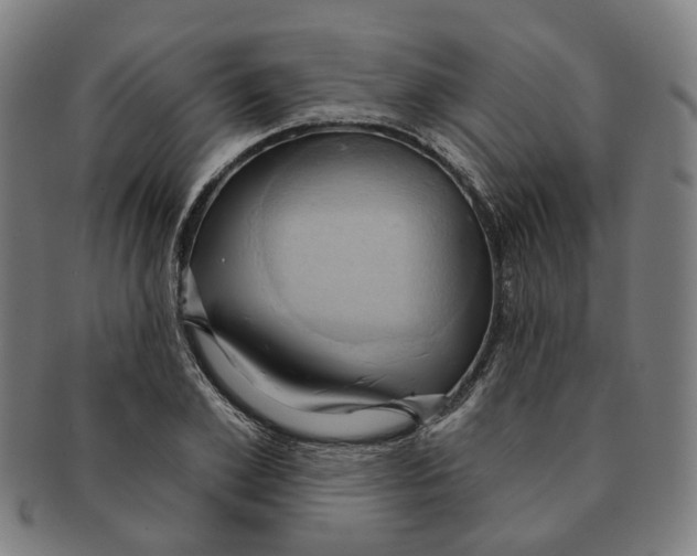 X0000090980981200708301245