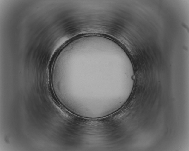 X0000090980982200708301245