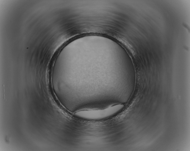 X0000090980983200708301245