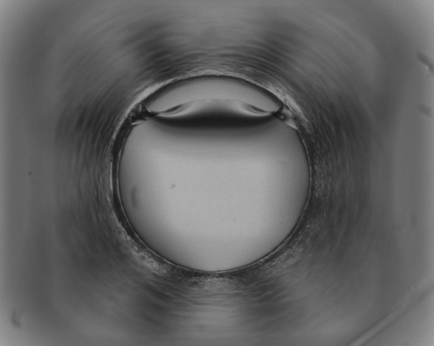 X0000090980984200708301245