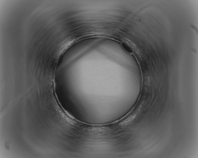 X0000090980985200708301245