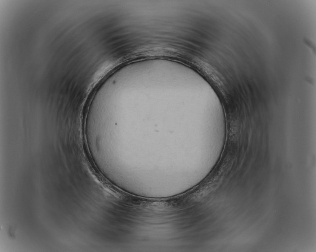 X0000090980986200708301245