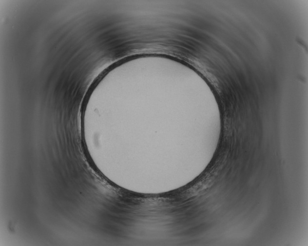 X0000090980988200708301245