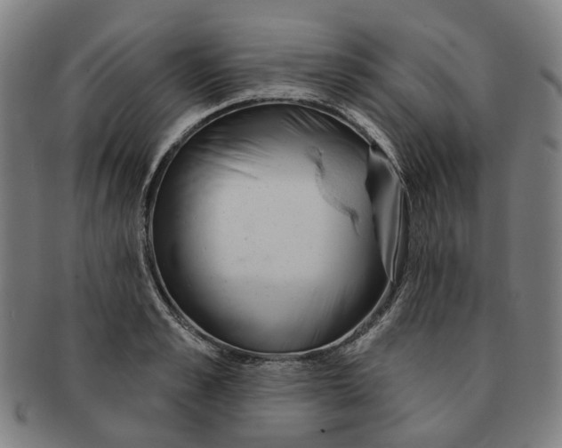 X0000090980989200708301245