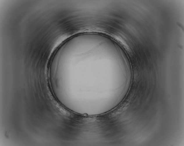 X0000090980990200708301245