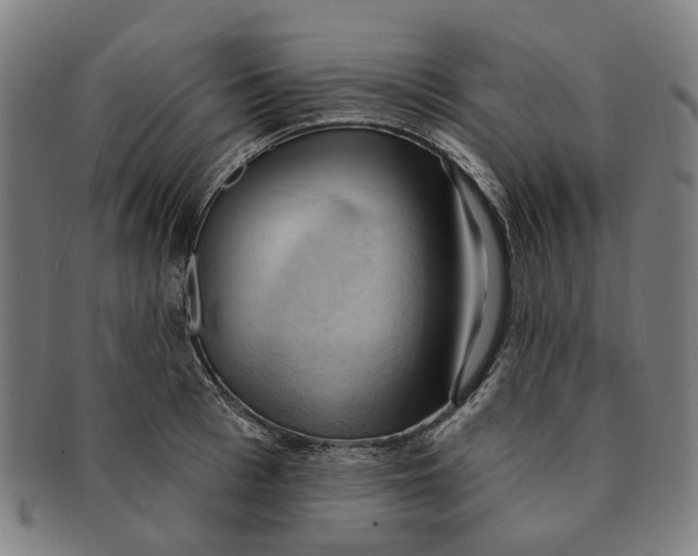 X0000090980993200708301245