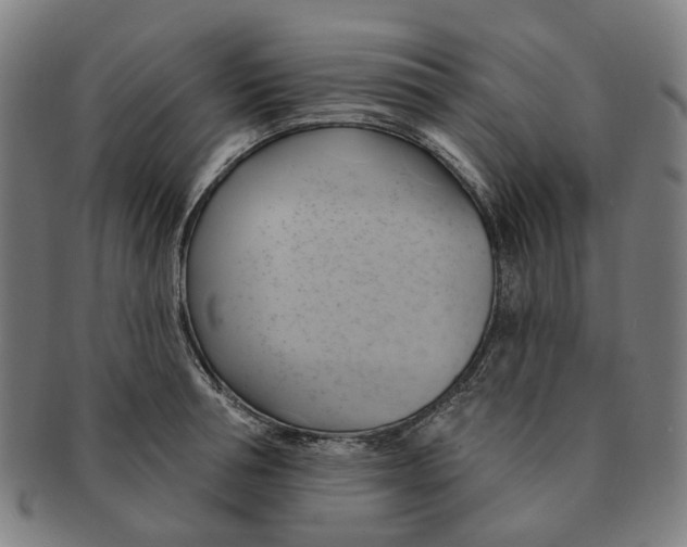 X0000090980994200708301245