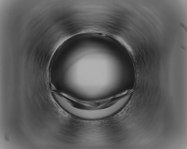 X0000090980996200708301245