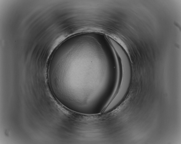 X0000090980997200708301245