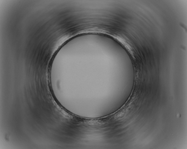 X0000090980998200708301244