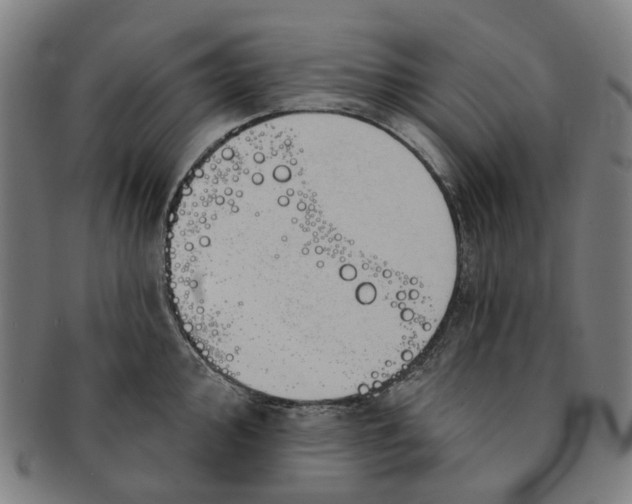 X0000090981000200708301244