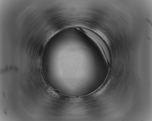 X0000090981001200708301244