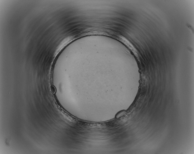 X0000090981002200708301244