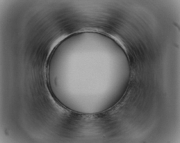 X0000090981003200708301244