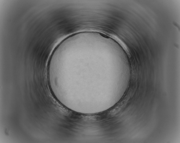 X0000090981004200708301244