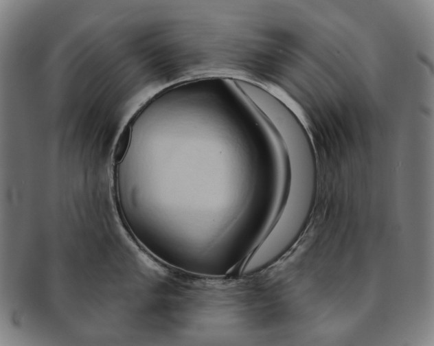 X0000090981005200708301244