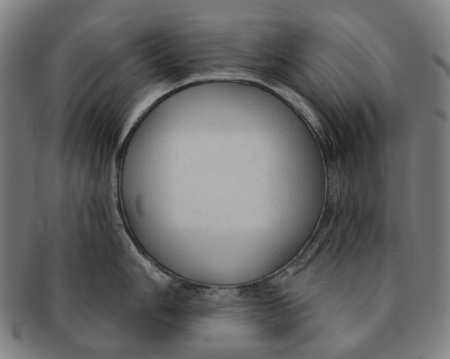 X0000090981006200708301244