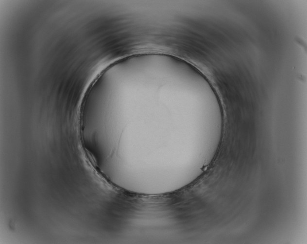 X0000090981008200708301244
