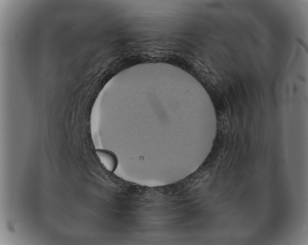 X0000090981009200708301244