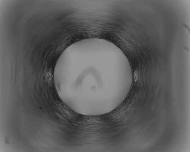 X0000090981011200708301244