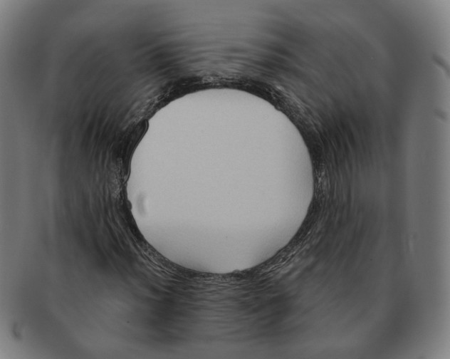 X0000090981012200708301244