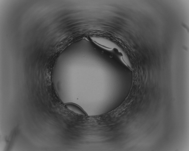X0000090981013200708301244