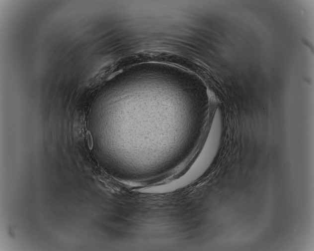 X0000090981014200708301244