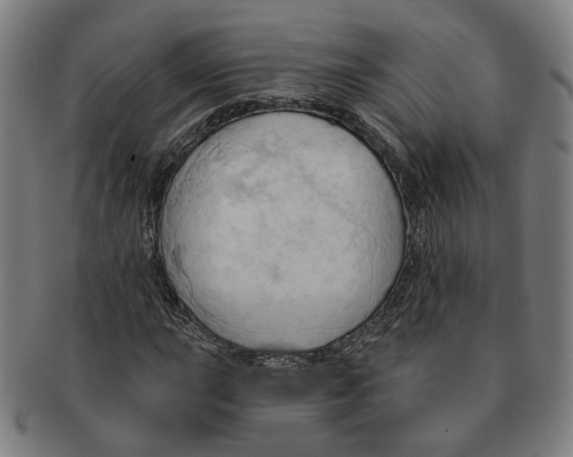X0000090981015200708301244
