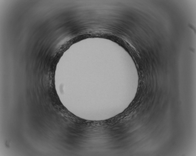 X0000090981016200708301244